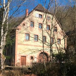 Haus Haus